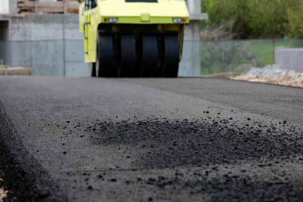 Best Residential Driveway Paver Services  in Raymondville, TX