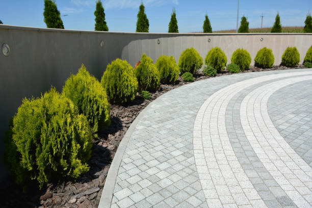 Best Cobblestone Driveway Pavers  in Raymondville, TX