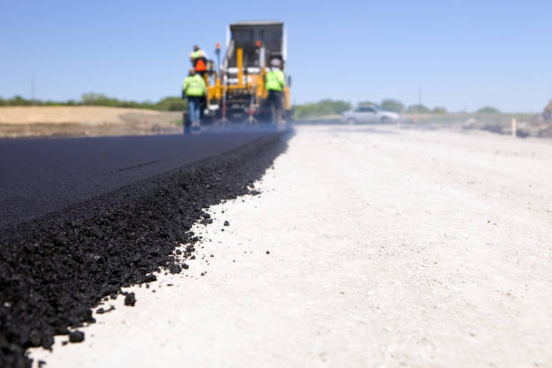 Best Driveway Pavers Near Me  in Raymondville, TX