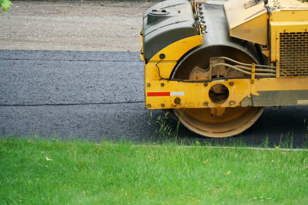 Best Best Driveway Pavers  in Raymondville, TX