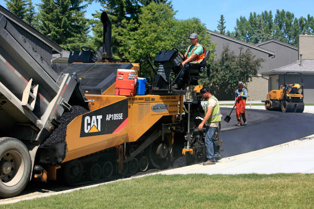 Best Professional Driveway Pavers  in Raymondville, TX